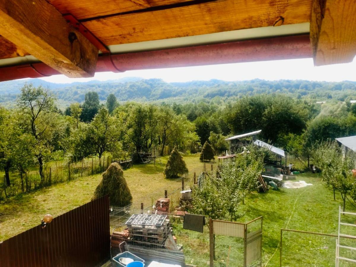 Pensiunea Colt De Rai Corbi Buitenkant foto